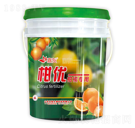 ���ٌ���-�̃�(y��u)-ؐ������