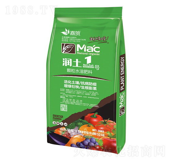 ����1̖(h��o)-ؐ������