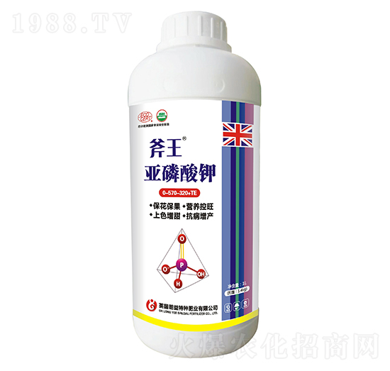 �������-����-��巉�