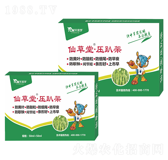 ��ſ��-�ɲ���-��巉�