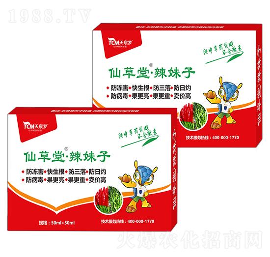 ������-�ɲ���-��巉�