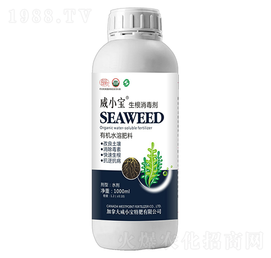 ����������-��С��-��巉�