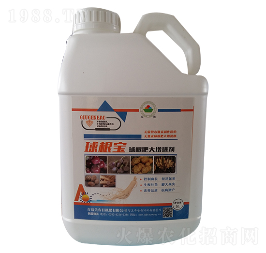 ����ʴ����M��-�����-�^�r(n��ng)