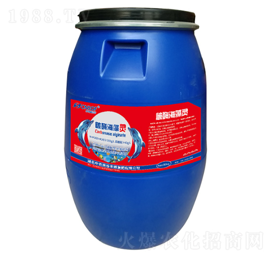 ̼ø�����` ���r(n��ng)ʩ���S