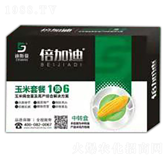 �����ײ�1�6 ��˹��