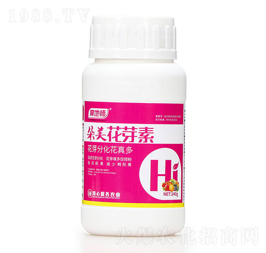 240�˶�����ѿ�� Ħ�؎�