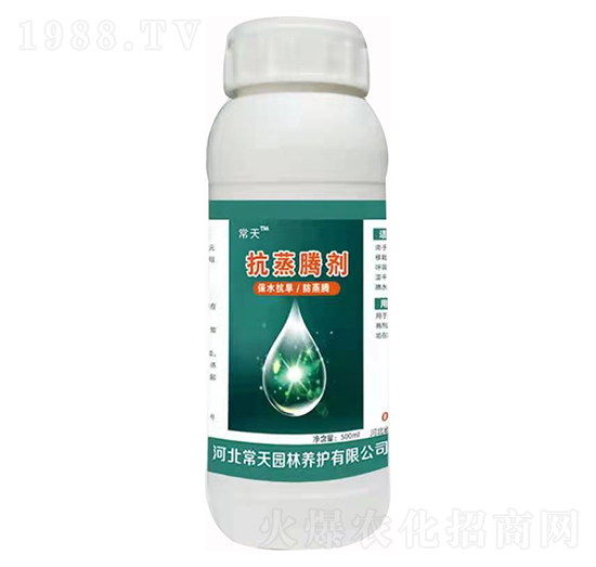 �����v�� ����