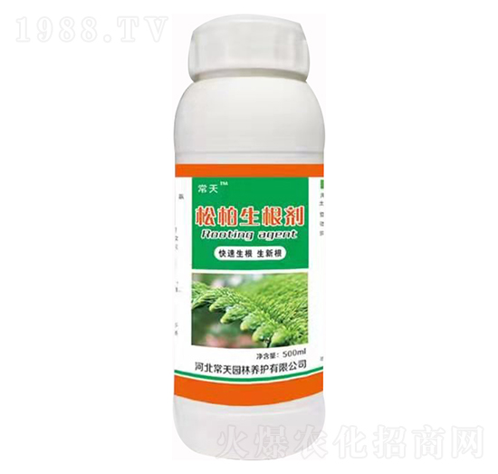 �ɰ������� ����