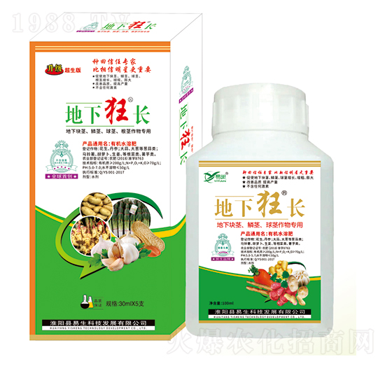 ���K�o���[�o�����o����� ���¿��L ����