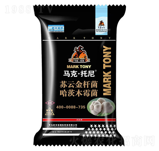 ������طN��-�R�ˡ�����