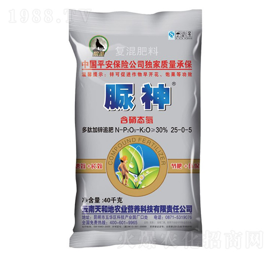 ��(f��)�����25-0-5-����-����