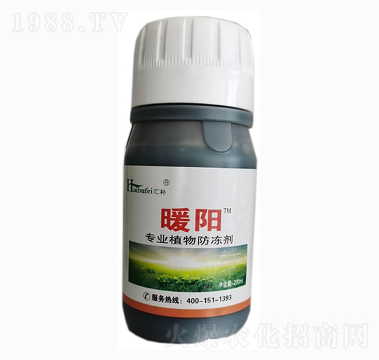 ֲ�������-����