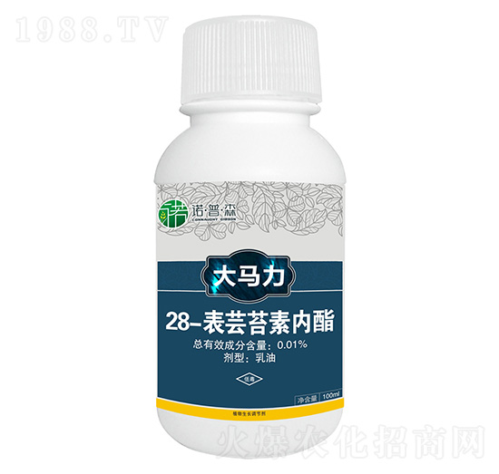 28-���|̦�؃�(n��i)�� ���R�� �Z��ɭ