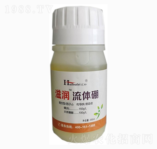 ���w��-�̝�(r��n)-����