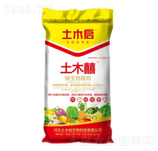 ��ľ�֣��t�� ��ľ������