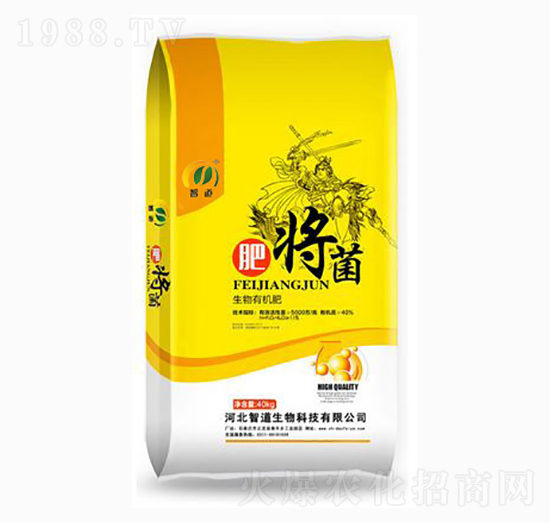 �����ЙC��-�ʌ���-�ǵ�