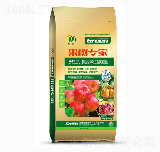 ��(f��)��΢�������-���䌣��-�ǵ�