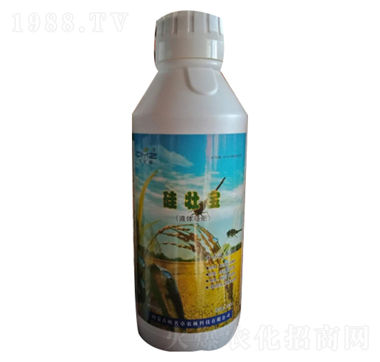 Һ�w���-��ь�-�x���r(n��ng)��