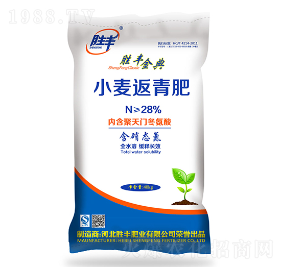 С�������-���S���-���S�ʘI(y��)