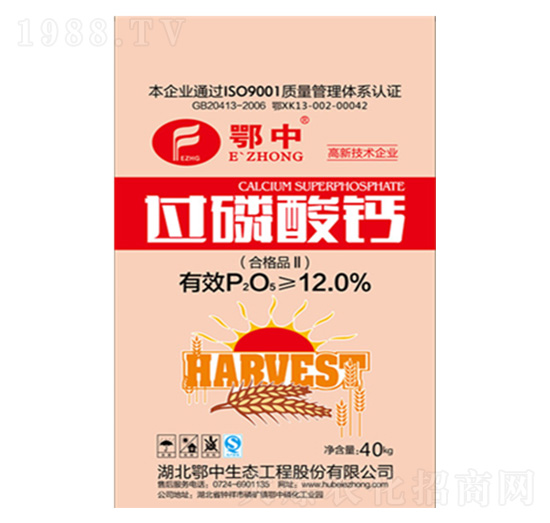 40kg�^(gu��)�����}-�������B(t��i)