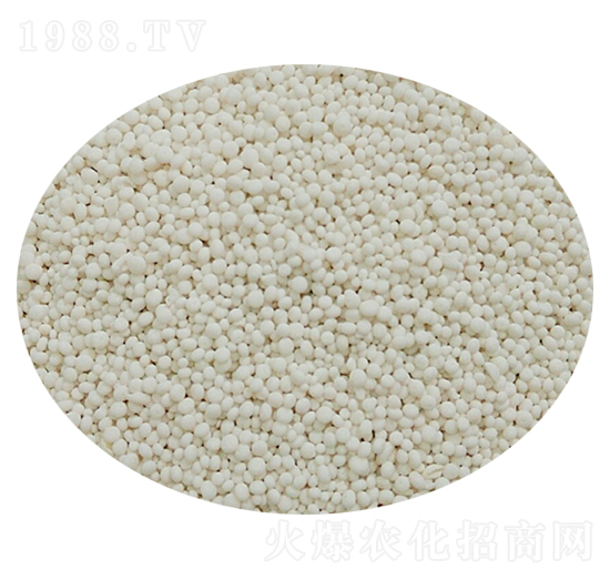 ��������-��׿����