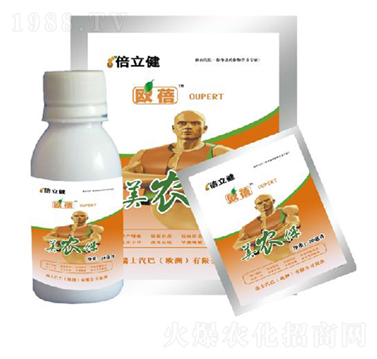 ���r(n��ng)��-������-�����r(n��ng)�I(y��)