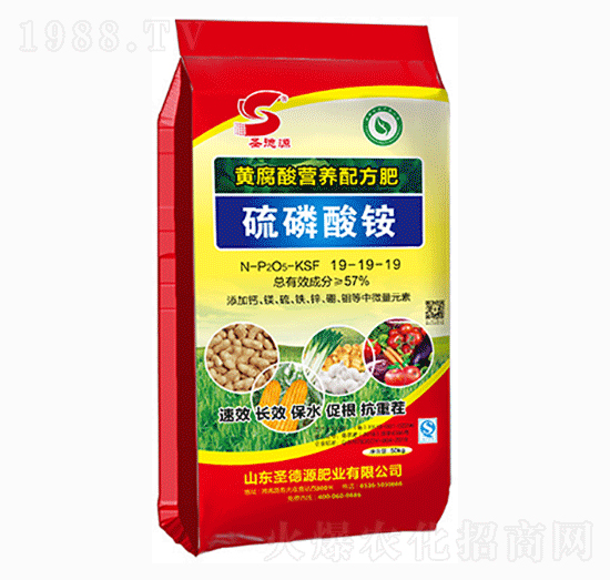 �S����I�B(y��ng)�䷽��19-19-19-�������@-ʥ��Դ