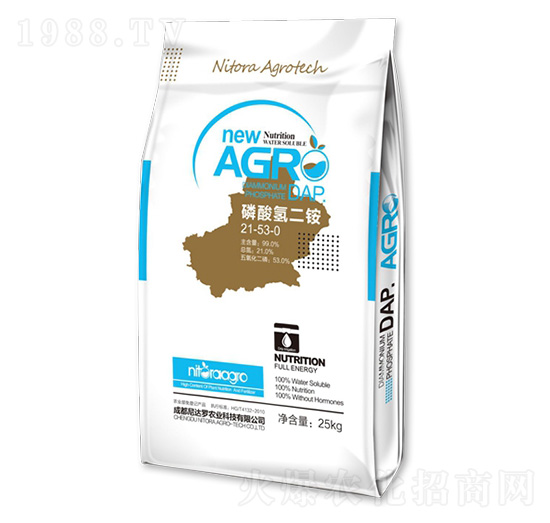 ������@21-53-0-���_(d��)�_