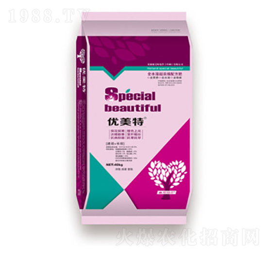 ���L�l(f��)����-��(y��u)����-����r(n��ng)�I(y��)