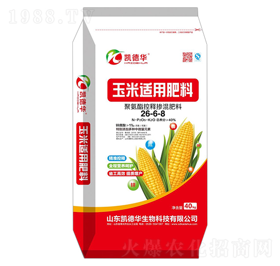 �����m�Ó������26-6-8-�P���A