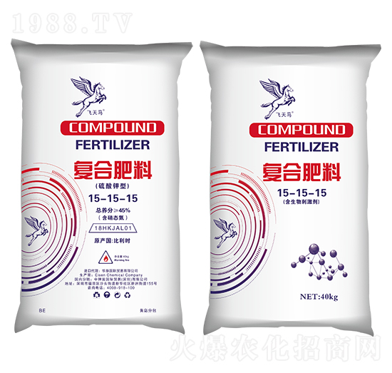 ������͏ͺϷ���15-15-15-�w���R-����}