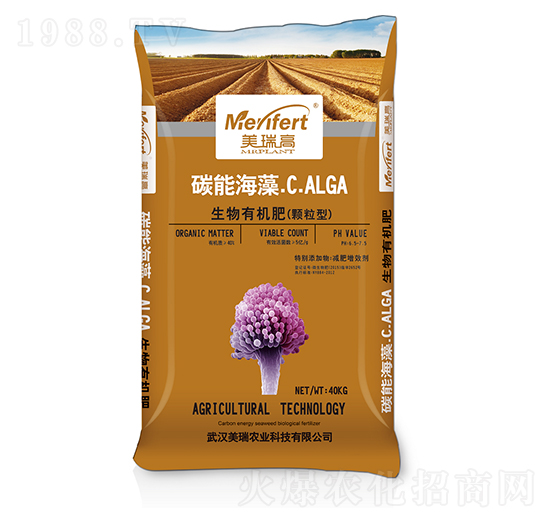 ̼�ܺ����-�����r(n��ng)�I(y��)