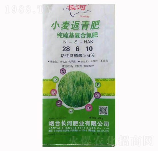 С�������28-6-10-�L��