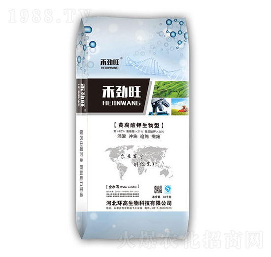 �S�����������-�̄���-�h(hu��n)������