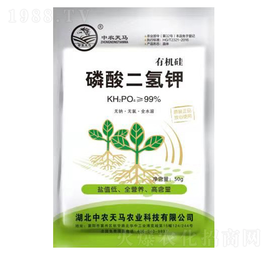 50g�ЙC����������-���r(n��ng)���R