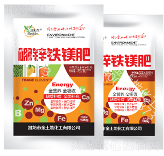 1000g���\�F�V��-������