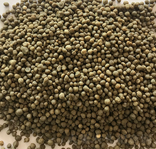 ������@-���r(n��ng)�r(n��ng)�I(y��)