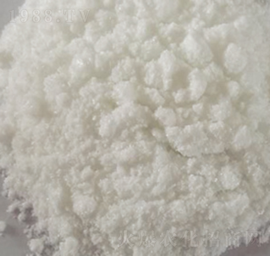 �̌��f-���R