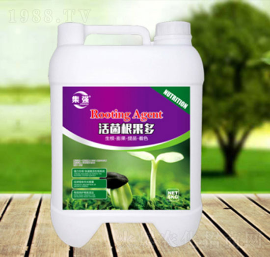 ���������-�\(ch��ng)�����Q(m��o)��