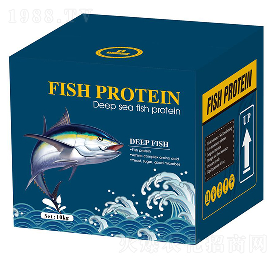 С�����~���ף��{(l��n)��-������