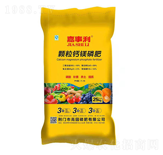 �w���}�V�׷�-������-�߈@