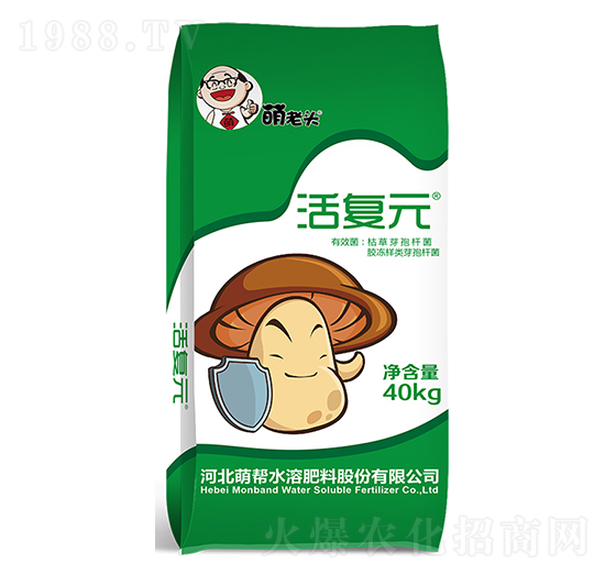 ���Ԫ-�Ȏ�