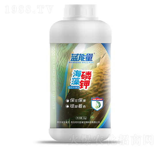 1kg�ٻ��S���ͺ������-�{����