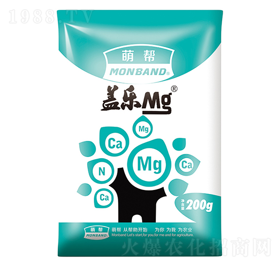 �w����-�Ȏ�