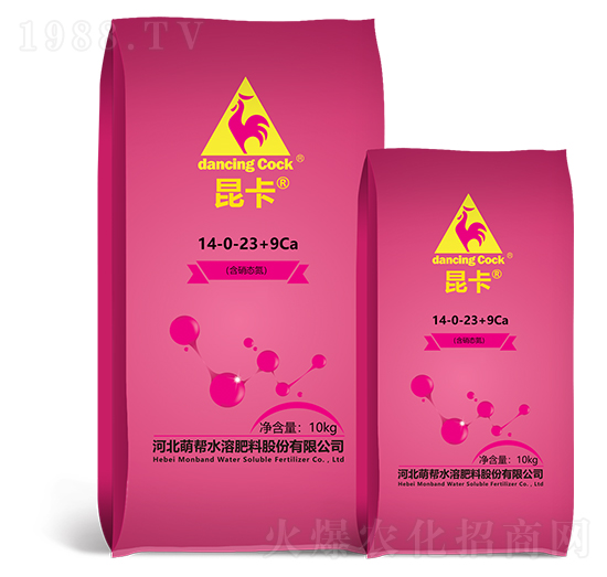 ����14-0-23+9Ca-�Ȏ�