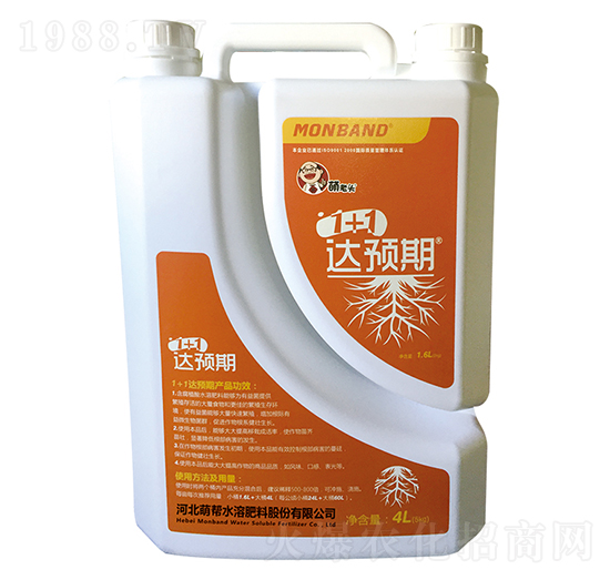 1+1�_�A(y��)��-�Ȏ�