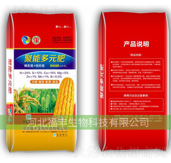 �ߵ��͏�(f��)�Ϸ�-���S����