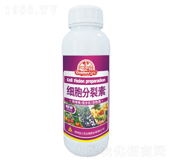 500ml����������-�����r