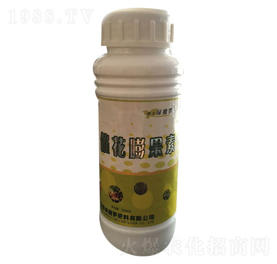 �߻������-�Għ�_