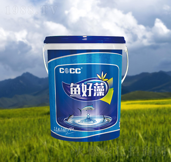 �~����-�к�����